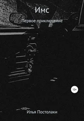 Илья Постолаки - Имс. Первое приключение