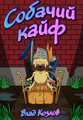 Влад Козлов - Собачий кайф