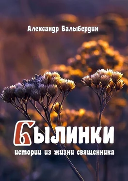 Александр Балыбердин Былинки. Истории из жизни священника обложка книги