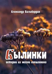 Александр Балыбердин - Былинки. Истории из жизни священника