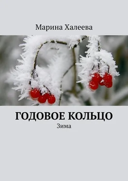 Марина Халеева Годовое кольцо. Зима обложка книги