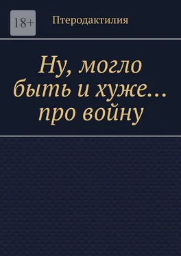 Птеродактилия Ну, могло быть и хуже… про войну обложка книги