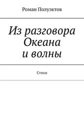 Роман Полуэктов - Из разговора Океана и волны. Стихи