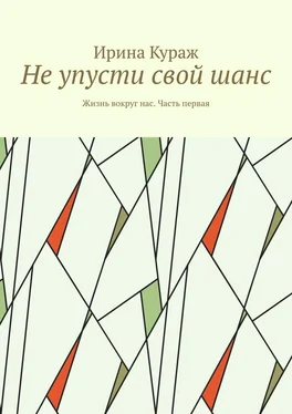 Ирина Кураж Не упусти свой шанс. Жизнь вокруг нас. Часть первая обложка книги