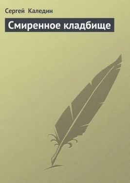 Сергей Каледин Смиренное кладбище обложка книги