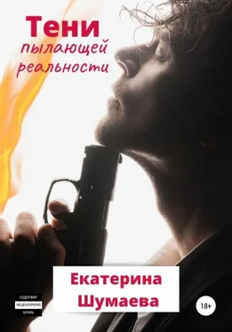 Екатерина Шумаева Тени пылающей реальности обложка книги