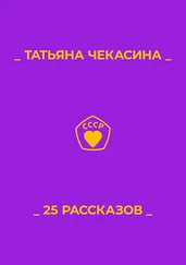 Татьяна Чекасина - 25 рассказов