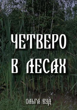 Ольга Вуд Четверо в лесах обложка книги