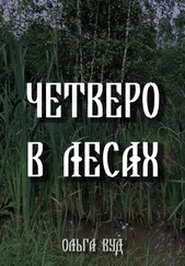 Ольга Вуд - Четверо в лесах