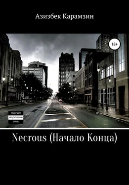 Азизбек Карамзин Necrous: Начало Конца обложка книги
