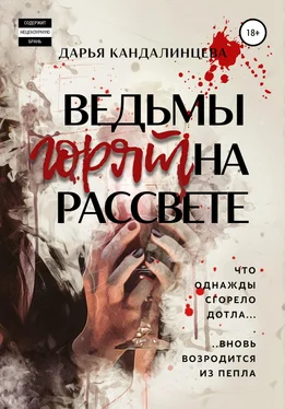 Дарья Кандалинцева Ведьмы горят на рассвете обложка книги