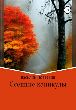 Василий Поветкин Осенние каникулы обложка книги