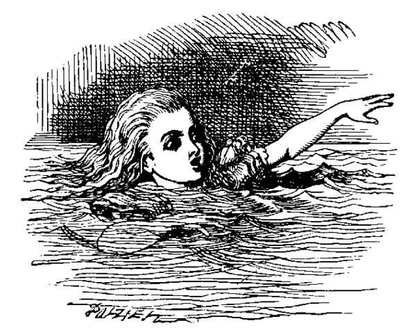 I wish I hadnt cried so much said Alice as she swam about trying to find - фото 5