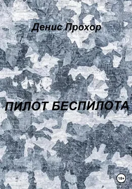 Денис Прохор Пилот беспилота обложка книги