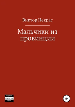 Виктор Некрас Мальчики из провинции обложка книги