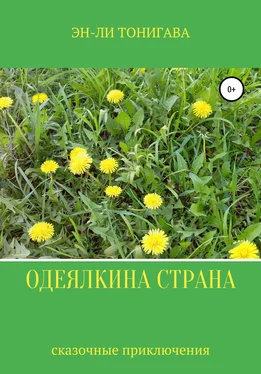 Эн-Ли Тонигава Одеялкина страна обложка книги