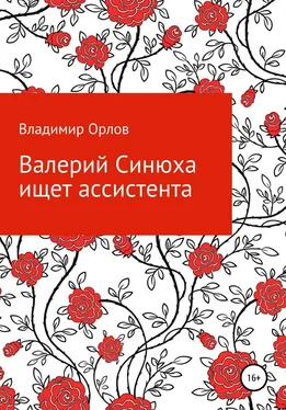 Владимир Орлов Валерий Синюха ищет ассистента обложка книги