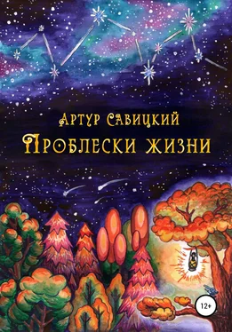 Артур Савицкий Проблески жизни обложка книги