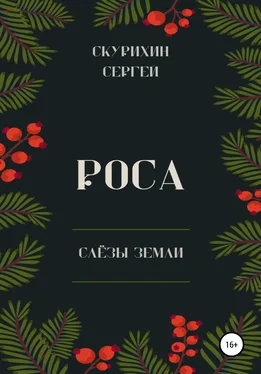 Сергей Скурихин Роса обложка книги