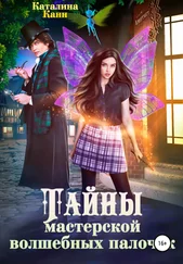 Каталина Канн - Тайны Мастерской волшебных палочек