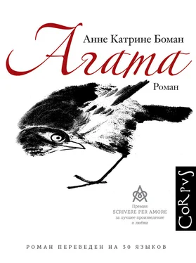 Анне Катрине Боман Агата обложка книги