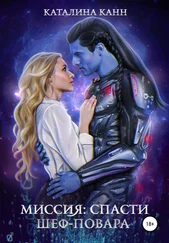 Каталина Канн - Миссия - спасти шеф-повара