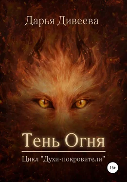 Дарья Дивеева Тень огня обложка книги