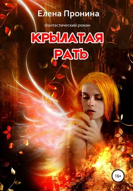 Елена Пронина Крылатая рать обложка книги