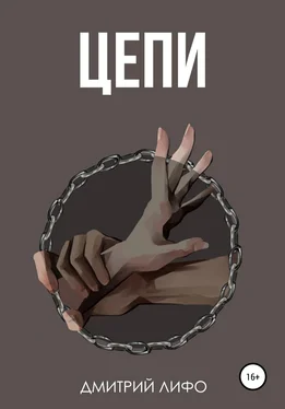 Дмитрий Лифо Цепи обложка книги