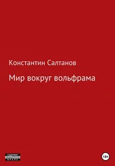Константин Салтанов - Мир вокруг вольфрама