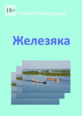 Николай Виноградов Железяка обложка книги