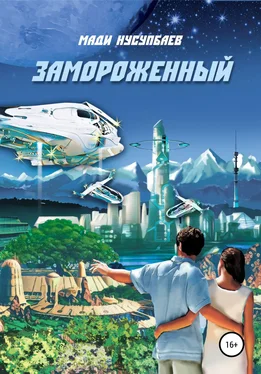 Мади Нусупбаев Замороженный обложка книги