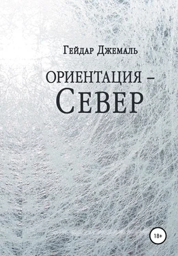 Гейдар Джемаль Ориентация – Север обложка книги