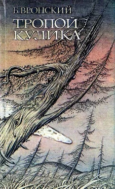 Борис Вронский Тропой Кулика (Повесть о Тунгусском метеорите) обложка книги