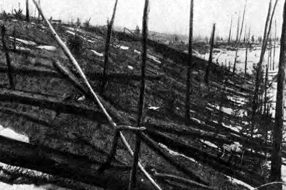 Так выглядел в 1930 году лесной вывал вызванный катастрофой 1908 года Левый - фото 11