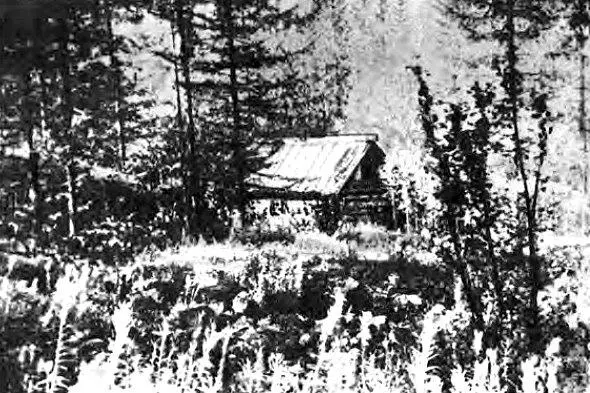 Барак Кулика на Хушме 108летняя лиственница на Южном болоте пережившая - фото 22
