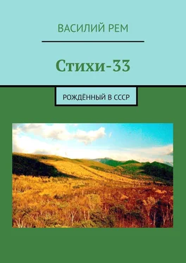 Василий Рем Стихи-33. Рождённый в СССР обложка книги