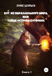 Луис Шульга - Кот из параллельного мира, или Тайна острова Котеонос