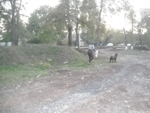 Соседка со своим псом в том же парке ГЛАВА 2 Баркли Больше всех от потери - фото 2