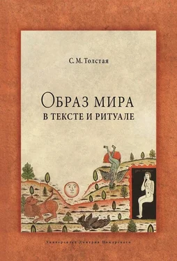Светлана Толстая Образ мира в тексте и ритуале обложка книги