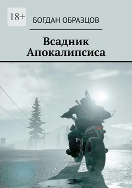 Богдан Образцов Всадник Апокалипсиса обложка книги