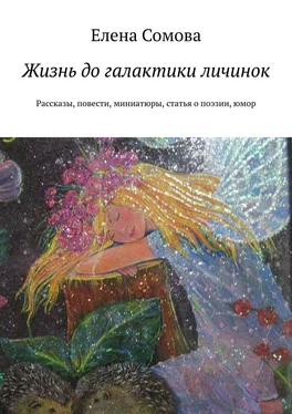 Елена Сомова Салажонка. Рассказы, повести, миниатюры, статья о современной поэзии, ирония и гротеск