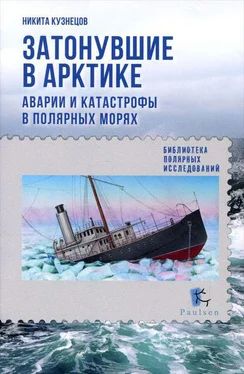 Никита Кузнецов Затонувшие в Арктике. Аварии и катастрофы в полярных морях обложка книги