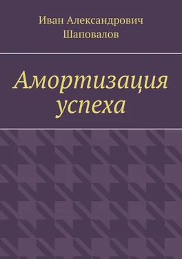 Иван Шаповалов Амортизация успеха обложка книги