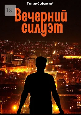 Гаспар Софенский Вечерний силуэт обложка книги