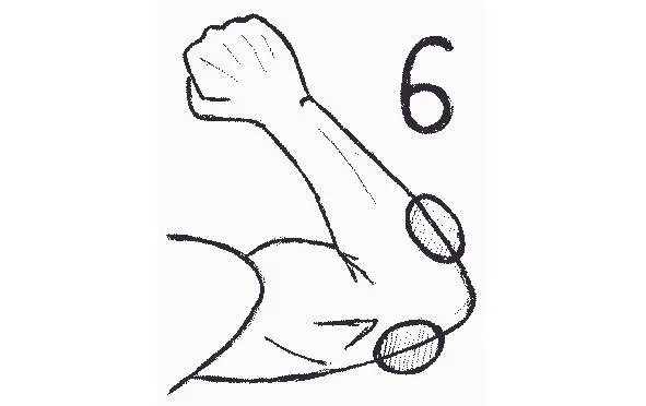 рисунок 4 6 рисунок 4 7 рисунок 4 8 - фото 11
