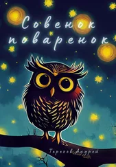 Андрей Терехов - Совенок-поваренок (бесплатно)