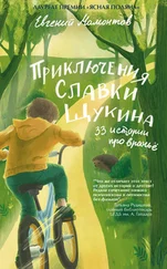 Евгений Мамонтов - Приключения Славки Щукина. 33 рассказа про враньё