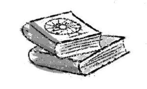 Я читаю две книги одновременно Не знаю есть ли второй такой человек в мире - фото 9