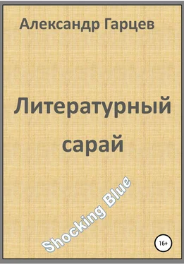 Александр Гарцев Литературный сарай обложка книги